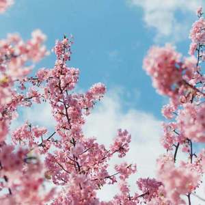 一区二区谢精交配
